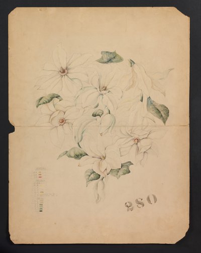 Dessin pour le vase Magnolia, vers 1893 (aquarelle) - Tiffany & Company
