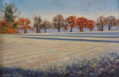 Givre sur le champ - Tilly Willis