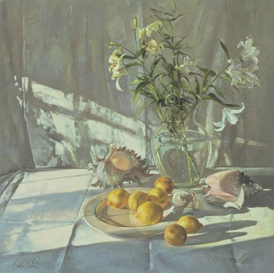 Réflexions et ombres - Timothy Easton
