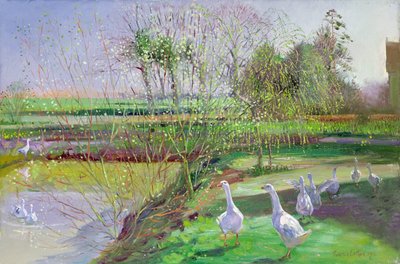 Saule et oies - Timothy Easton