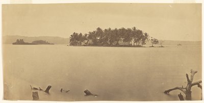 [Isthme de Darién (Panama)] - Timothy H. O