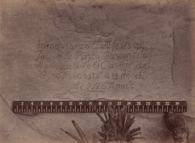 Explorations et levés géographiques et géologiques à l