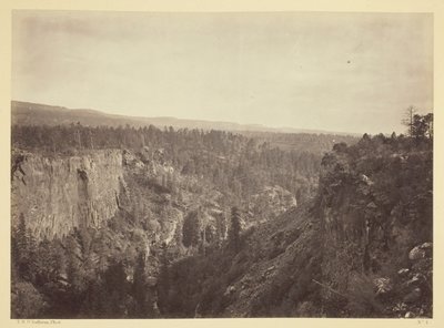 North Fork Cañon, Sierra Blanca Creek, Arizona - Timothy O