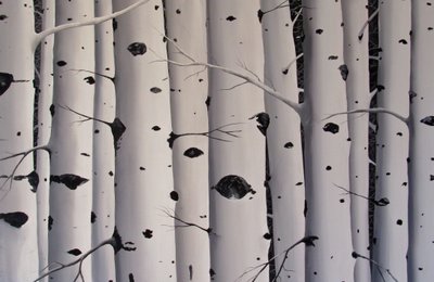 Bouleaux, 2017 (acrylique sur toile) - Tina Palmer