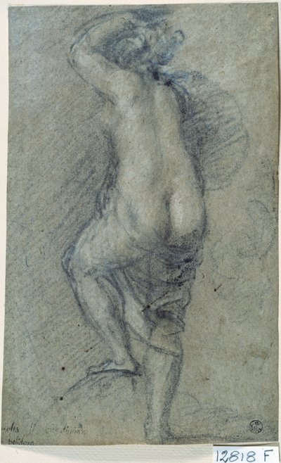 Femme nue - Titian (c.1488 1576)