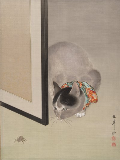 Chat regardant une araignée, vers 1888-92. - Toko Oide
