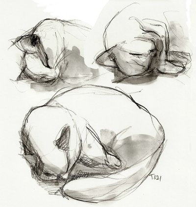 Études sur les chats endormis - Tore Bahnson