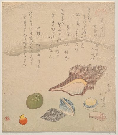Sept coquillages au bord de la mer, de la série Compendium des coquillages (Kaizukushi) - Totoya Hokkei