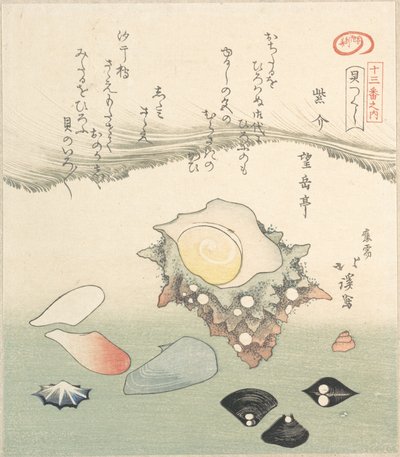 Coquille de top et diverses coquilles, 19e siècle - Totoya Hokkei