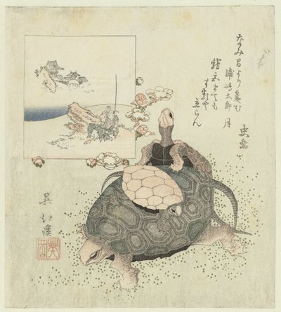 Tortues - Totoya Hokkei