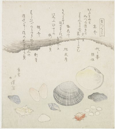 Coquille oubliée, coquille de fleur de prunier et coquille de cerisier - Totoya Hokkei