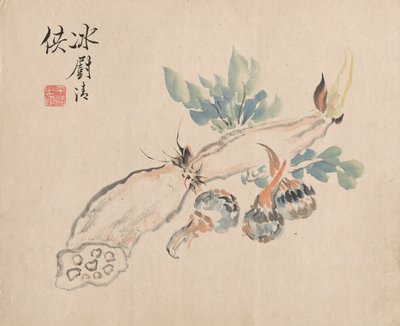 Racine de lotus et langue d