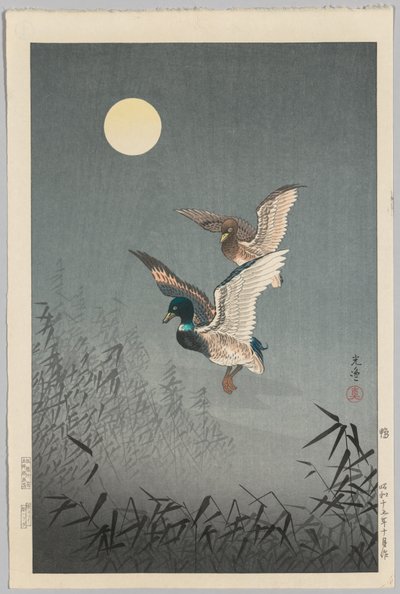 Vues de Tokyo : Canards - Tsuchiya Kōitsu