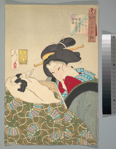 Warmes Gefühl - Tsukioka Yoshitoshi