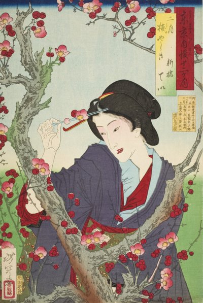  - Tsukioka Yoshitoshi