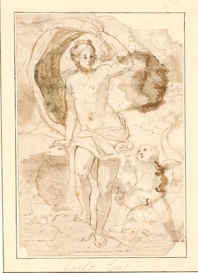 Vénus recevant des perles dans une coquille par Cupidon chevauchant un dauphin - Ubekendt