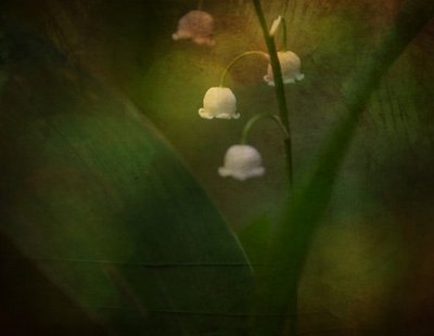  - Ulrike Eisenmann