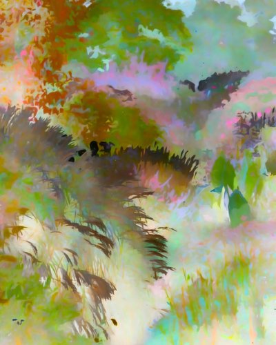 Paysage forestier haut en couleur - Uma Gokhale