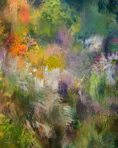 Abstrait « Jardin éclatant » - Uma Gokhale