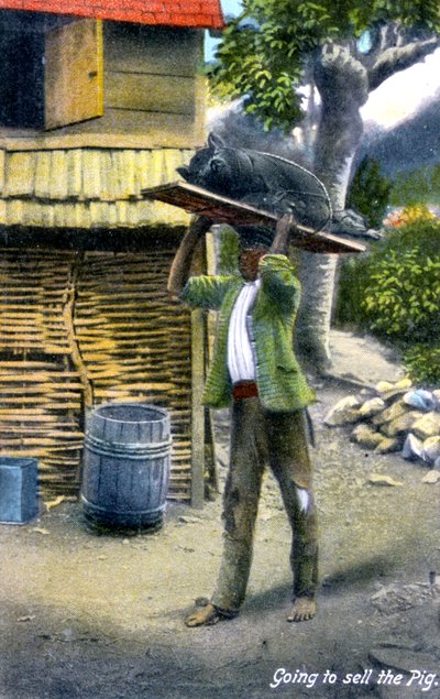 Un homme en route pour le marché pour vendre un cochon, Jamaïque, vers 1900 - Unbekannt