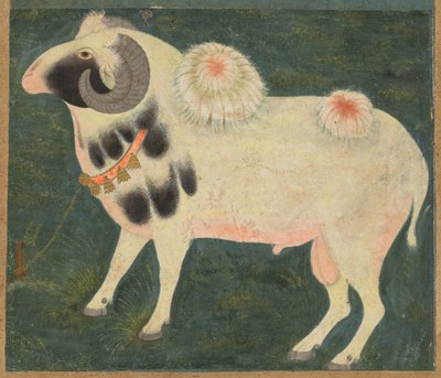Un bélier royal avec une chaîne en or, vers 1585, bordure ajoutée probablement dans les années 1700 - Unbekannt