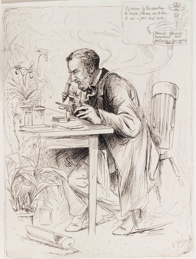 Alexander Dickson, botaniste - Unbekannt