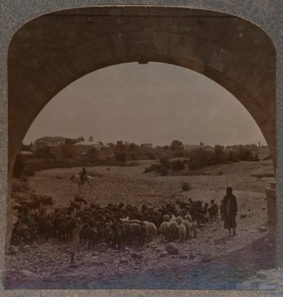 Aqueduc montrant Jéricho à travers l