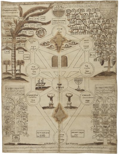 Arbor Cabalistica Arbre kabbalistique, ca 1625 - Unbekannt