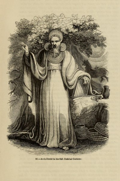 Archidruide en costume judiciaire complet Du livre Old England: A Pictorial Museum, 1845 - Unbekannt