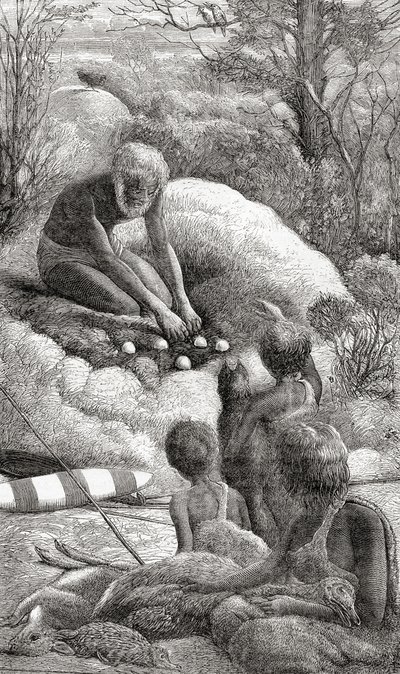 Des aborigènes australiens examinent le nid d