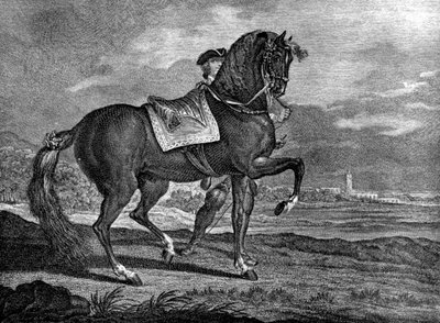 Barb, 1722 - Unbekannt