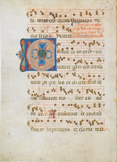 Bifolium avec Initiale C, d