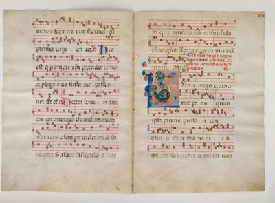 Bifolium avec initiale L, d