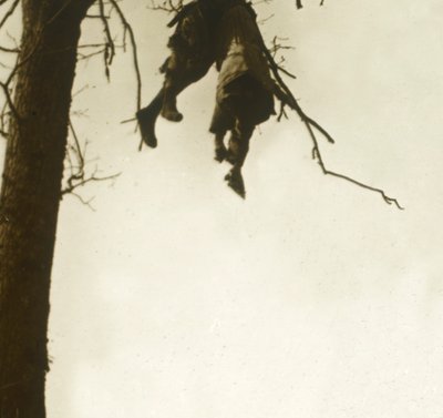 Corps dans un arbre, Bois d