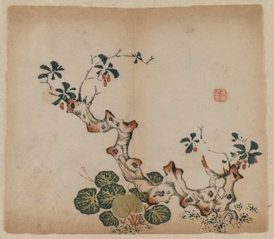 Souche ramifiée, 1368-1644 - Unbekannt