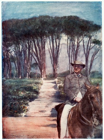 Cecil Rhodes, entrepreneur et homme d