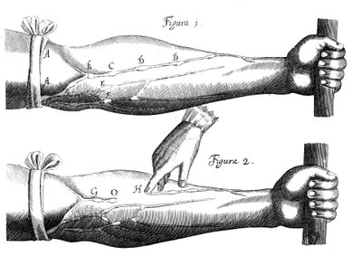 Circulation du sang - Unbekannt