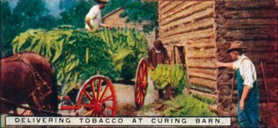 Livraison de tabac à la grange de séchage - Unbekannt