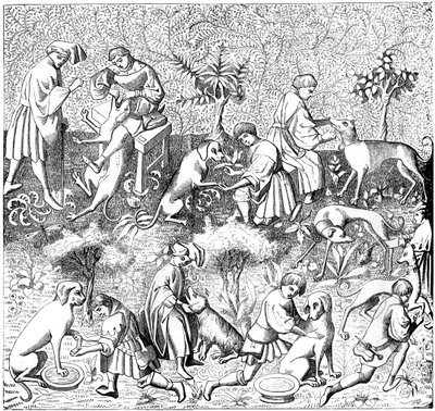 Maladies des chiens et leurs remèdes, XIVe siècle, 1849 - Unbekannt