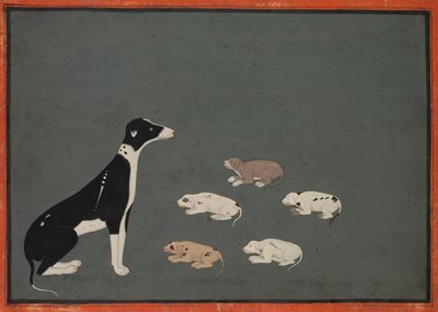 Chien avec chiots, vers 1780 - Unbekannt