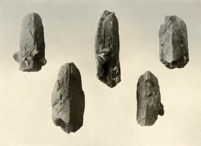 Cristaux de feldspath du sommet du mont Erebus Taille naturelle, 1909 - Unbekannt