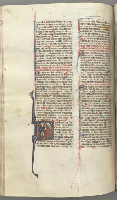 Fol. 222v, Psaume 52, initiale historiée D, un fou nu sauf pour un manteau, tenant une vessie - Unbekannt