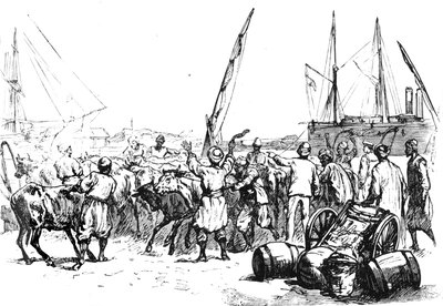 Nourriture pour les troupes : Débarquement de bétail à Port-Saïd, vers 1882 - Unbekannt