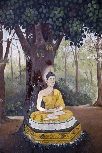 Bouddha méditant sous un arbre, Chiang Mai, Thaïlande - Unbekannt