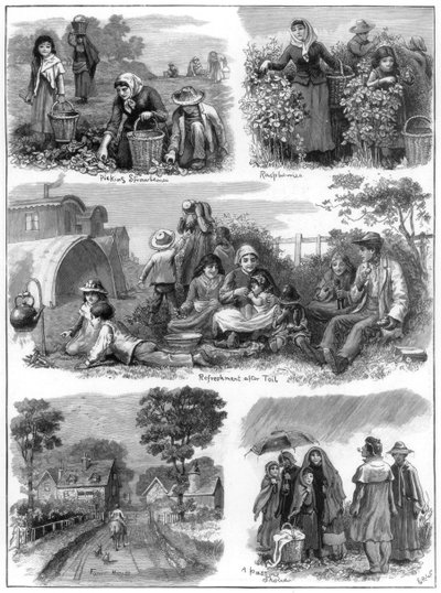 Cueilleurs de fruits, 1899 - Unbekannt
