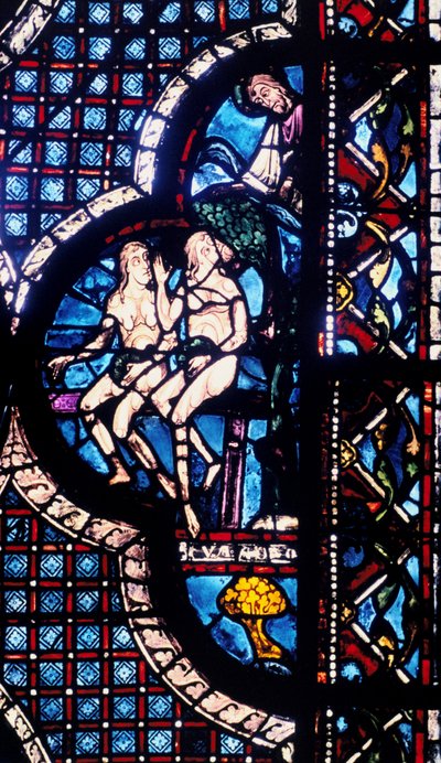 Dieu confronte Adam et Ève, vitrail, cathédrale de Chartres, France, 1205-1215 - Unbekannt