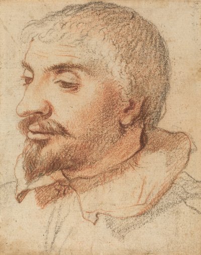 Tête d