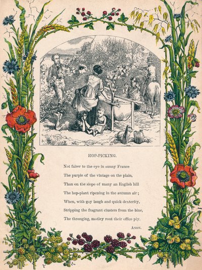 Cueillette du houblon, c1900 - Unbekannt