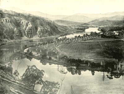 Jardins de houblon en Tasmanie, 1901 - Unbekannt