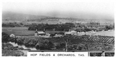 Champs de houblon et vergers, Tasmanie, Australie, 1928 - Unbekannt